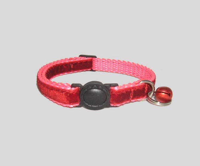 ovratnica-za-macke-rdeca-zamet10-mm